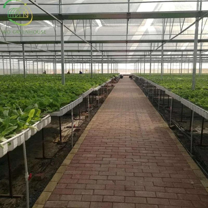 High Yield Greenhouse DWC Hydroponics Growing System für die Pflanzung von Gemüse