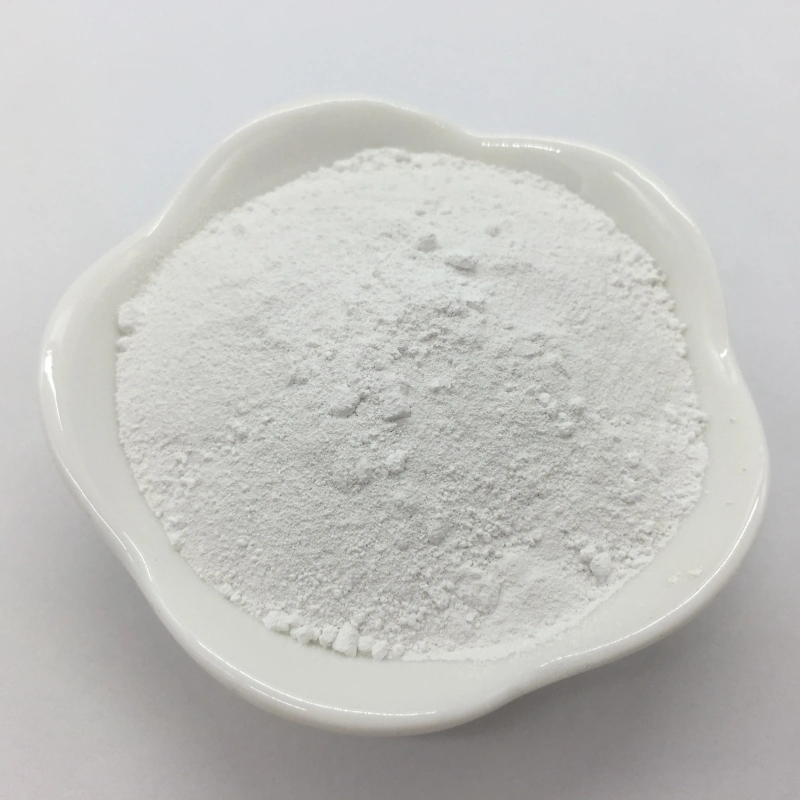 Paint Rubber Plastic Raw Material TiO2 Rutile, Anatase Titanium Dioxide