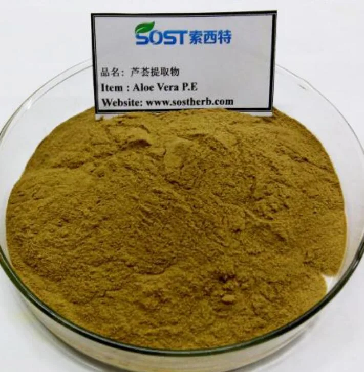 SOST 10 Years Manufacture 100% Natural Powder Aloe Vera Extract Powder