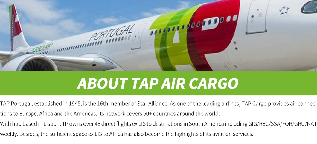 Tp/Tap Portugal, Air Shipping Cargo Agent, From Shenzhen, China to Brasilia, Brazil