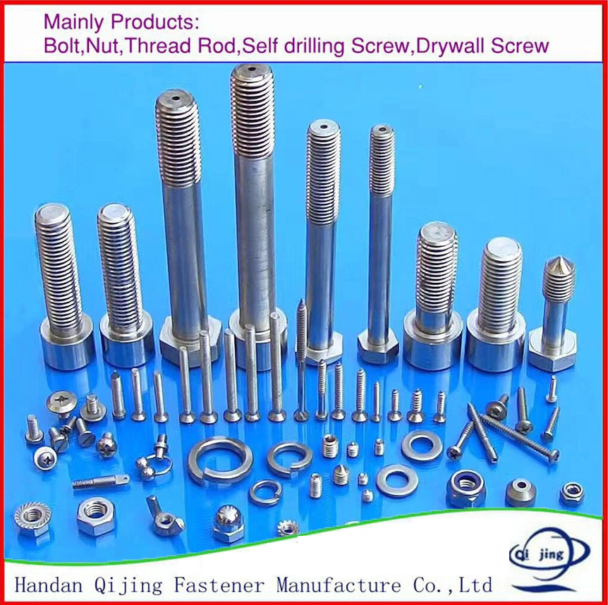 Hex Head Bolt/Wing Nut/Nylon Nut/Lock Nut/Hex Bolt/Round Head Bolt/Washer