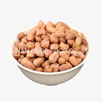 High Quality Hot Sale Factory Price Java Peanut Kernel