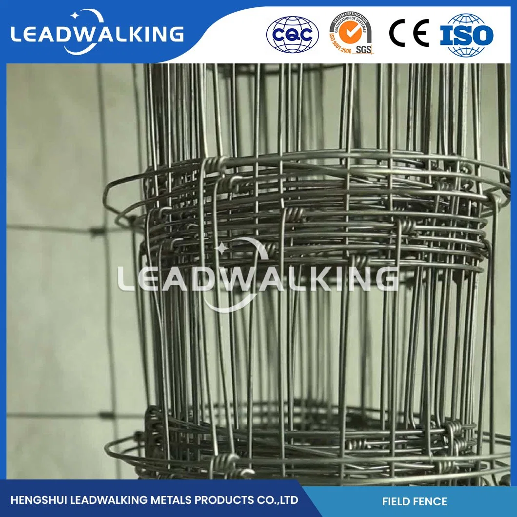 Leadwalking Green Field Fence Custom Farm Fence Wire Wholesale/Supplierr China 5cm Weft Spacing Hinged Joint Grassland Fence