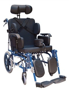 2022 ce certificat manuel Manuel permanent Manuel de Palsy cérébrale fauteuil roulant