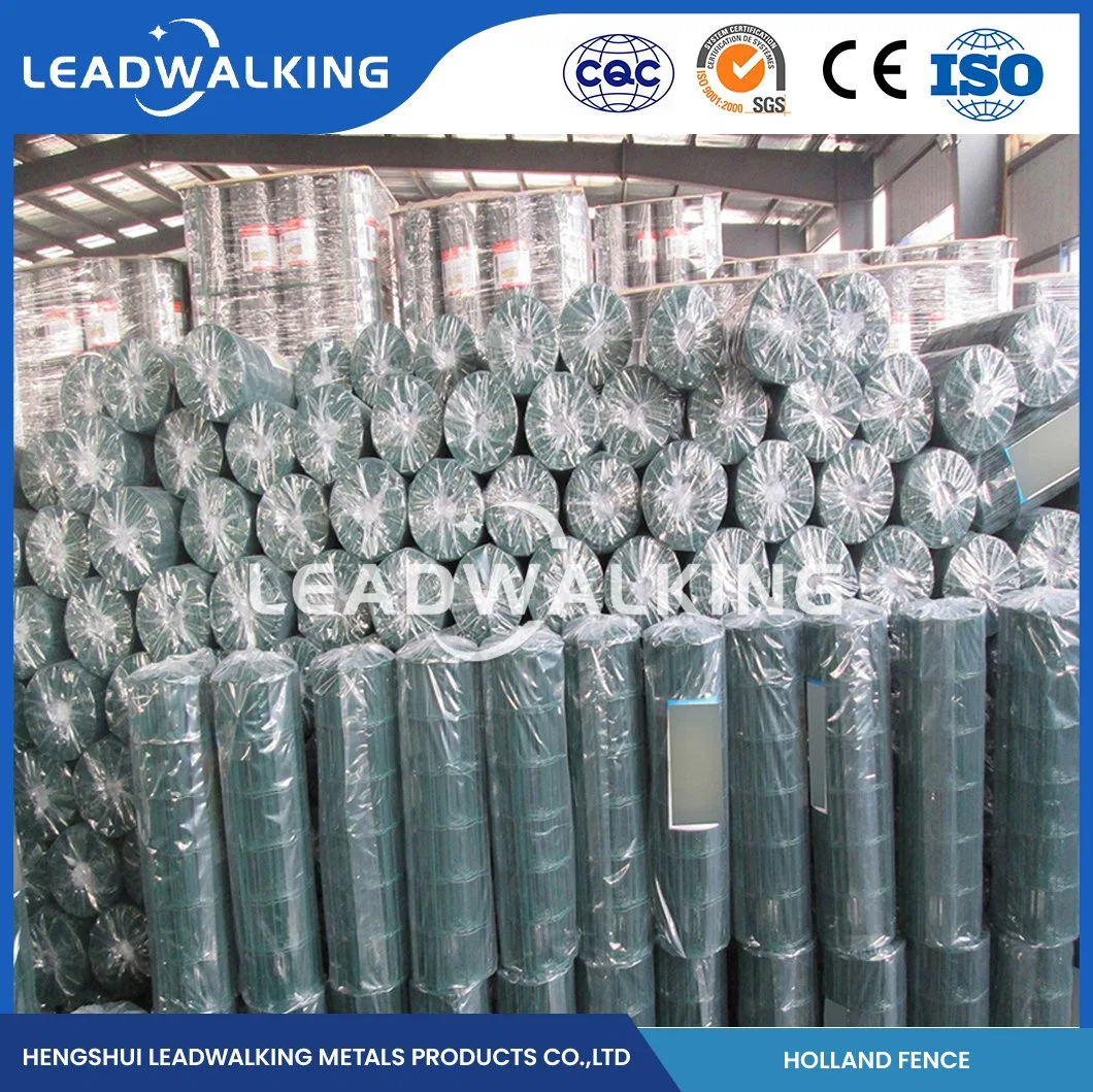 Leadwalking galvanizou solda Mesh. Arame soldado por grosso Com revestimento de plástico para Cage Animal China, com revestimento de PVC de 30 x 30 mm Rede de arame soldada Holland