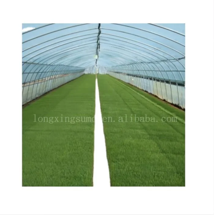 Tunnel Plastic China Greenhouse Film Agriculture Green House Equipment