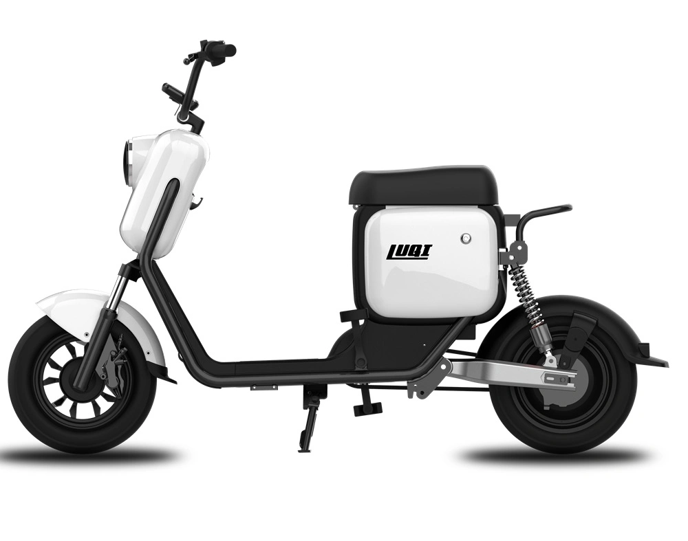 Mini Bicycle Innovative Design 10 Inches EEC/CE Electric Citycoco with Back Box Coming Soon