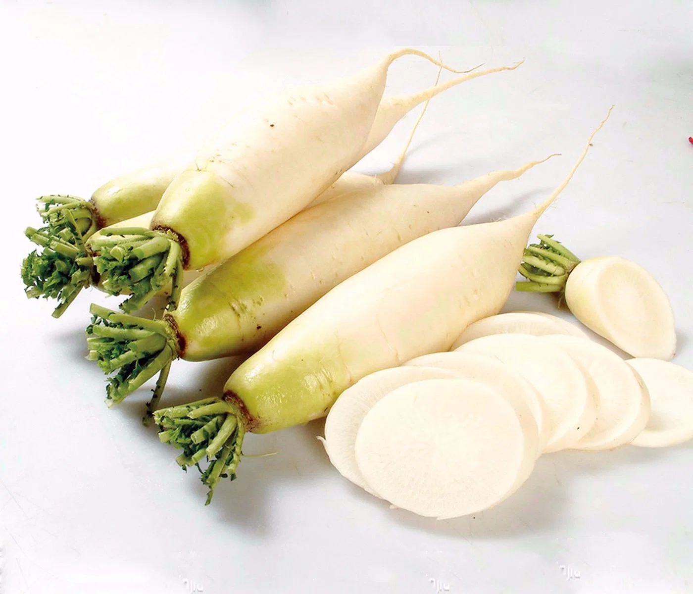 New Crop High quality/High cost performance  China Fresh Radish