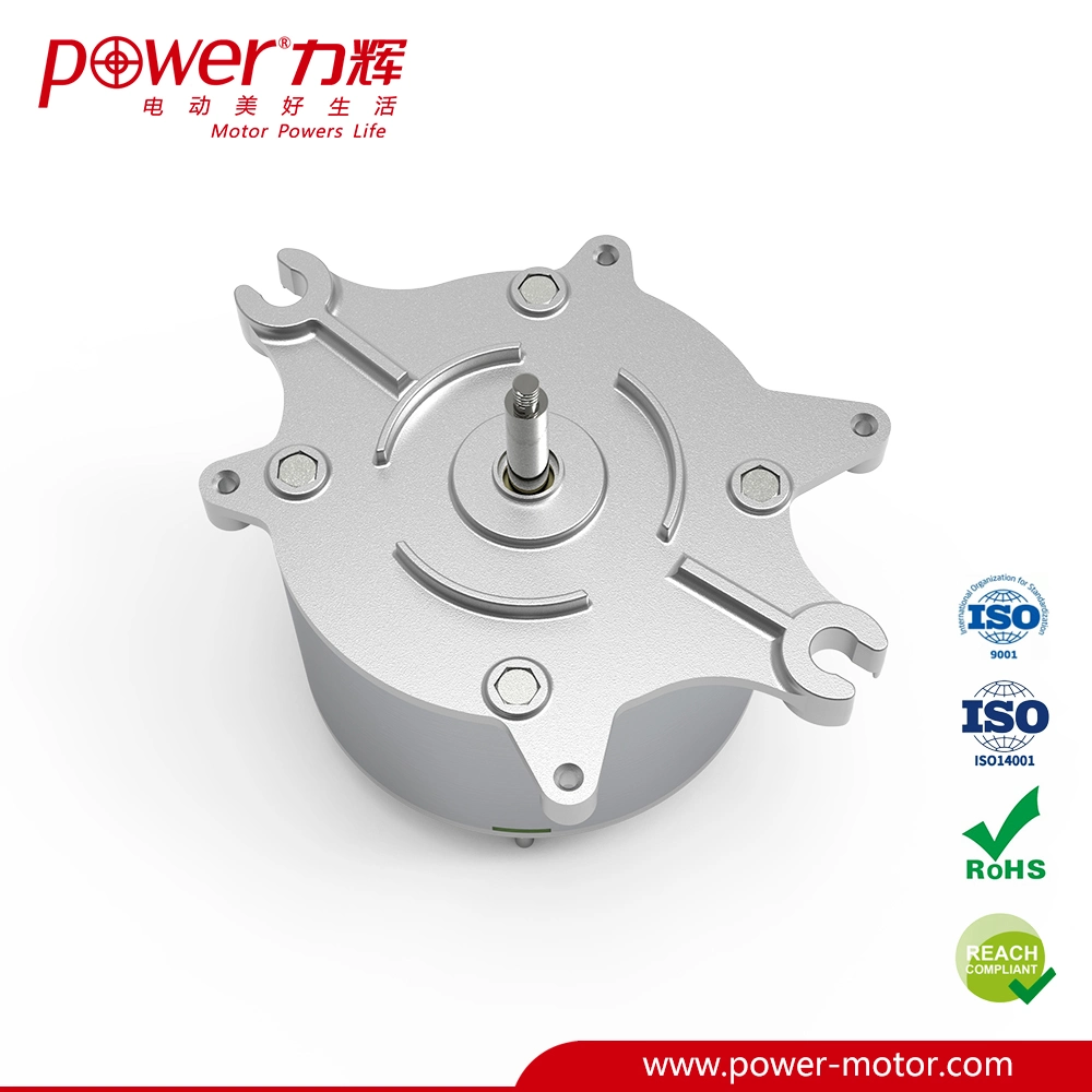 Non-Standard Smart Toilet Pump Motor 24V DC Motor