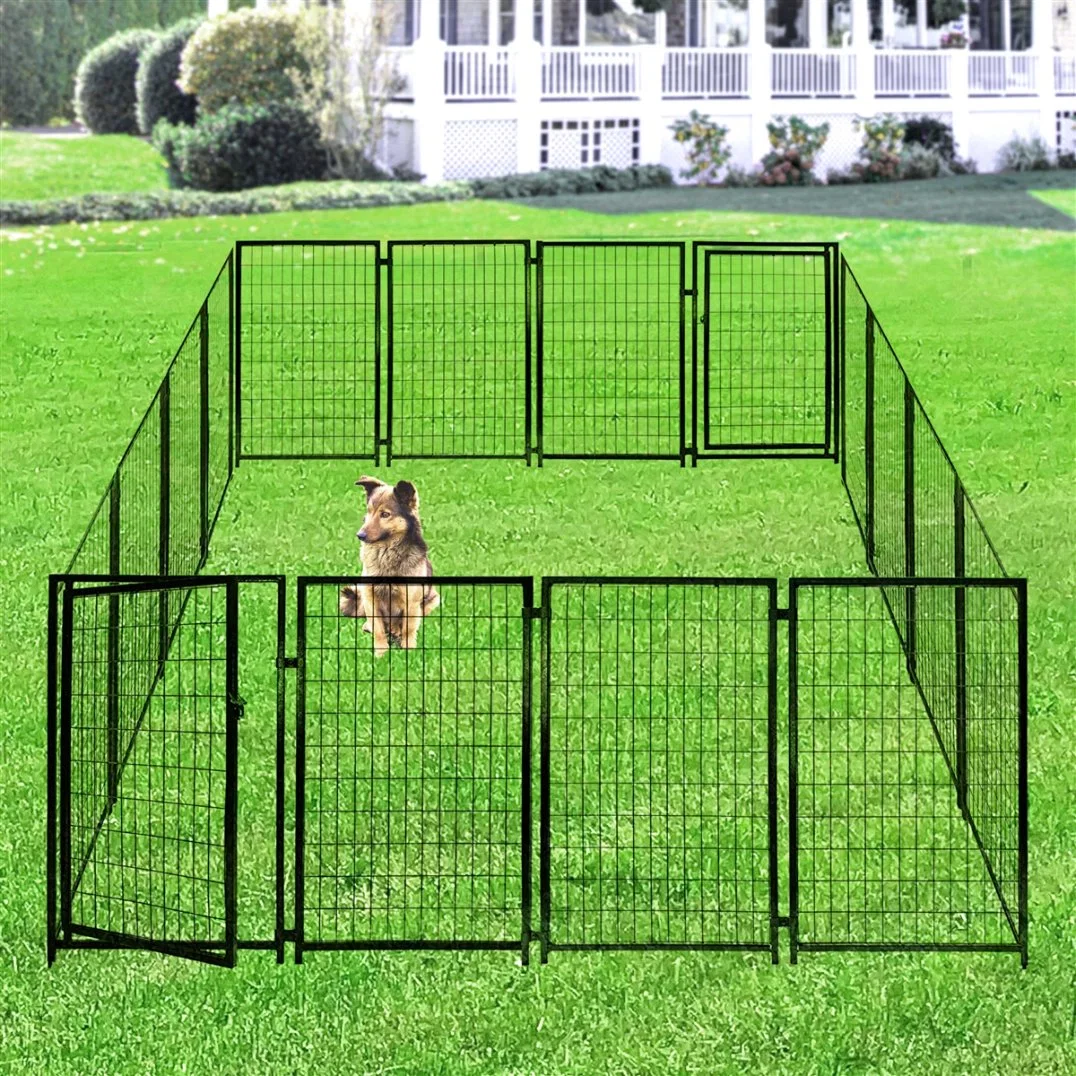 Dog Fence PVC Powder Coated Dog Kennel Welded Wire Mesh Chain Link Fence