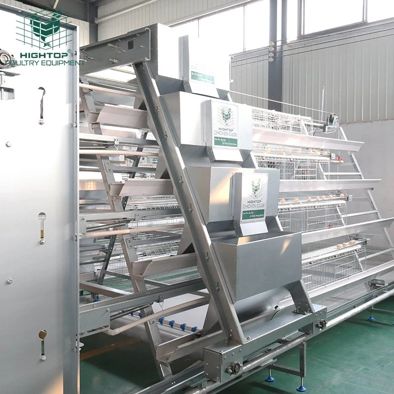 Un Tipo huevo capa aves de corral Agricultura caliente sumergido Galvanizado automático Batería de la jaula de pollo para la venta