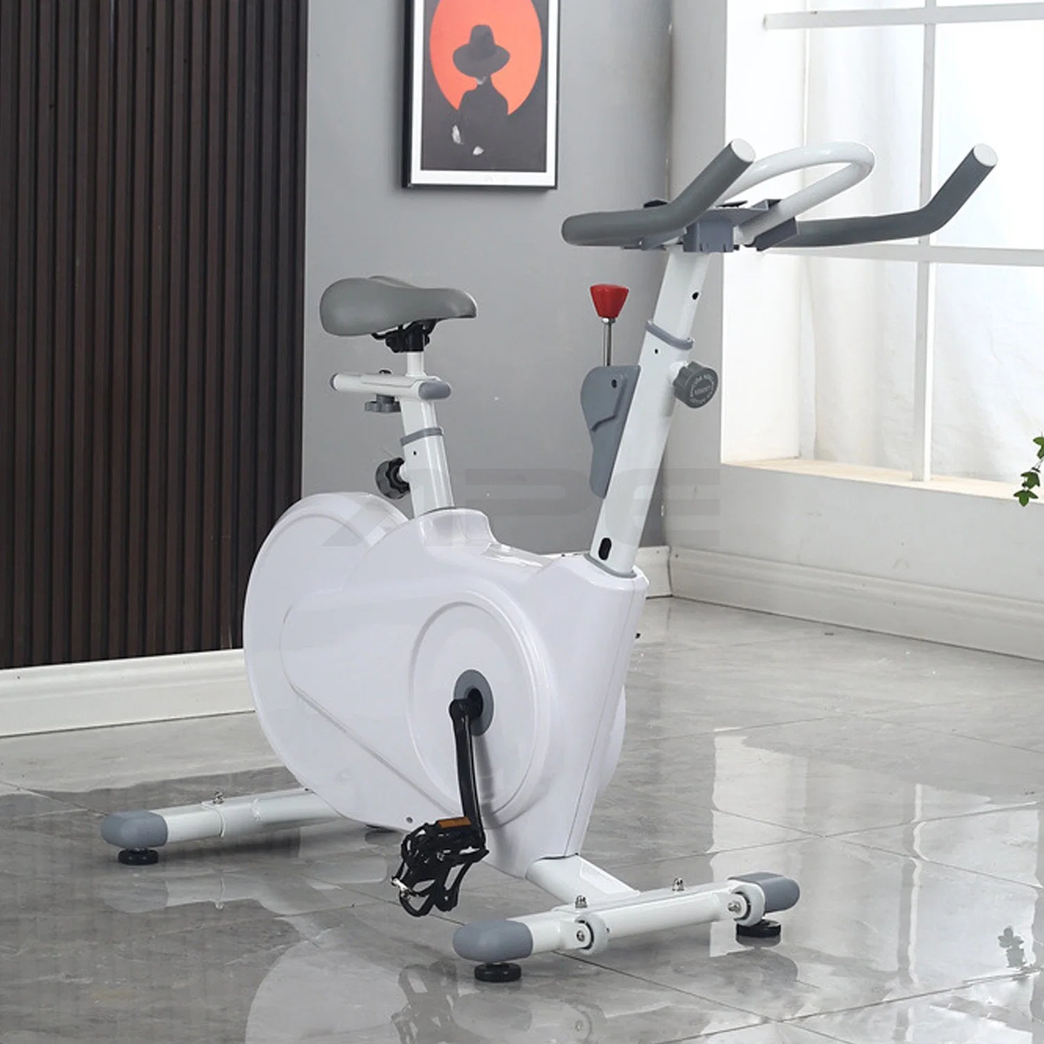 Ape Fitness Beautiful White Stable and Super Silent Magnetic Bikes