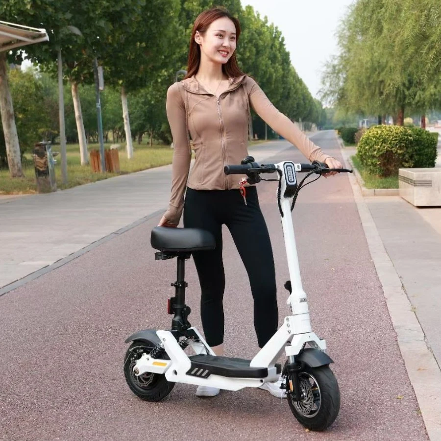 Hot Selling Leo Folding Bicycle Electric 48V 400W Sports Bicycle Electric Scooter Lithium Battery