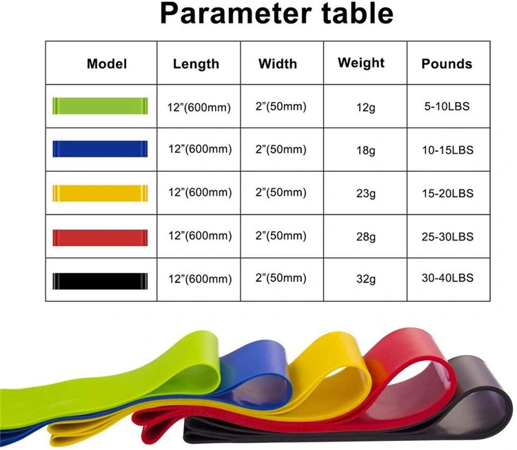 5 Farben Custom Print Logo Fitnessgeräte Naturlatexresistenz Übung Stretch Loop Mini Band Kit