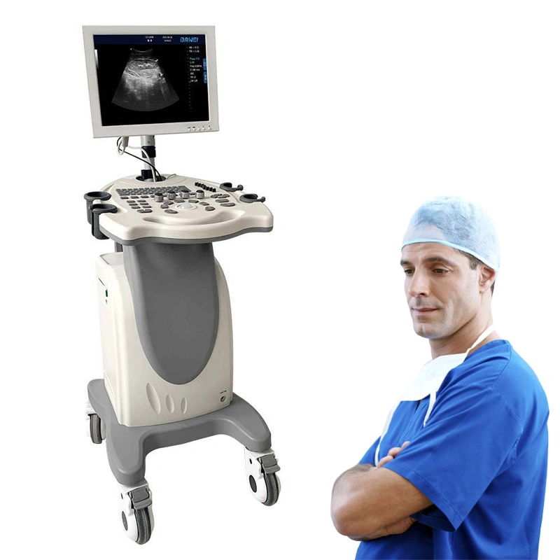 B&W Ultrasound Machine with 15 Inch LED Medical Display Monitor Automatic Identification Function to Support a Variety of Probe