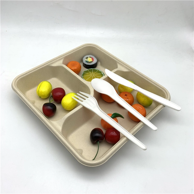 Tableware Set 3 Compartments Bagasse Food Tray with Lid