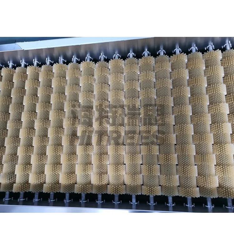 Commercial Potato Ginger Washer Peeler Machine