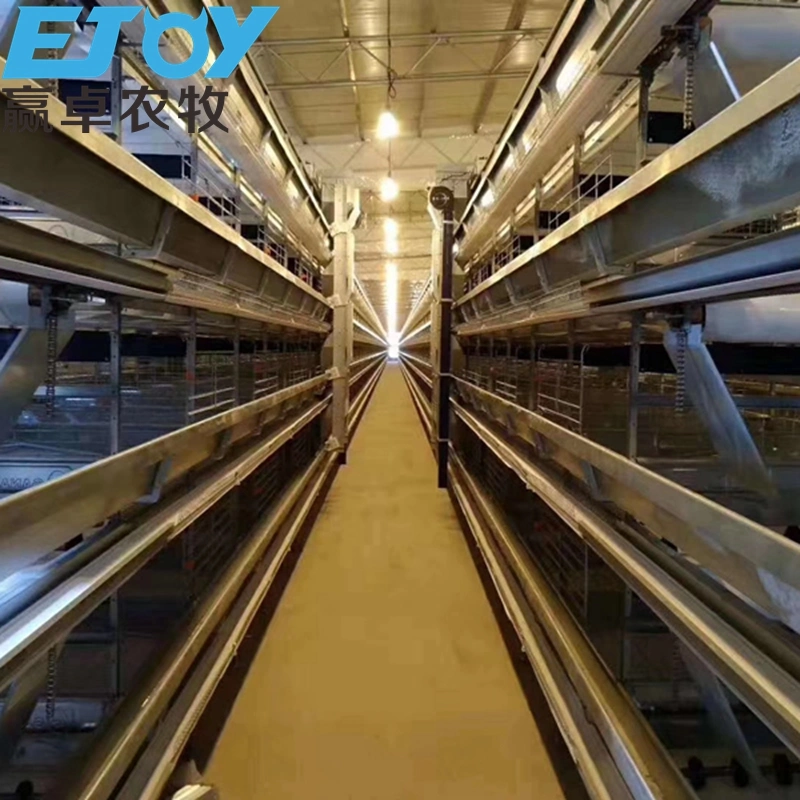 Poultry Farm Equipment Bird Cage Chicken Egg Layer Cages with Chicken House