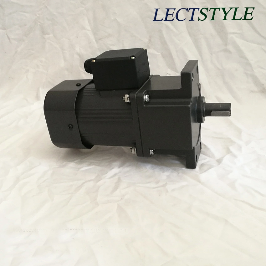 AC Electric Single Phase Induction Gear Motor