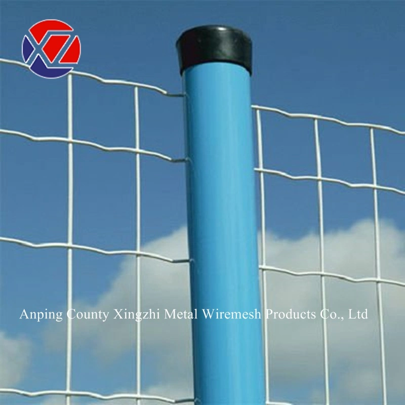 3mm Wire Holland Welded Wire Mesh Garden Fence