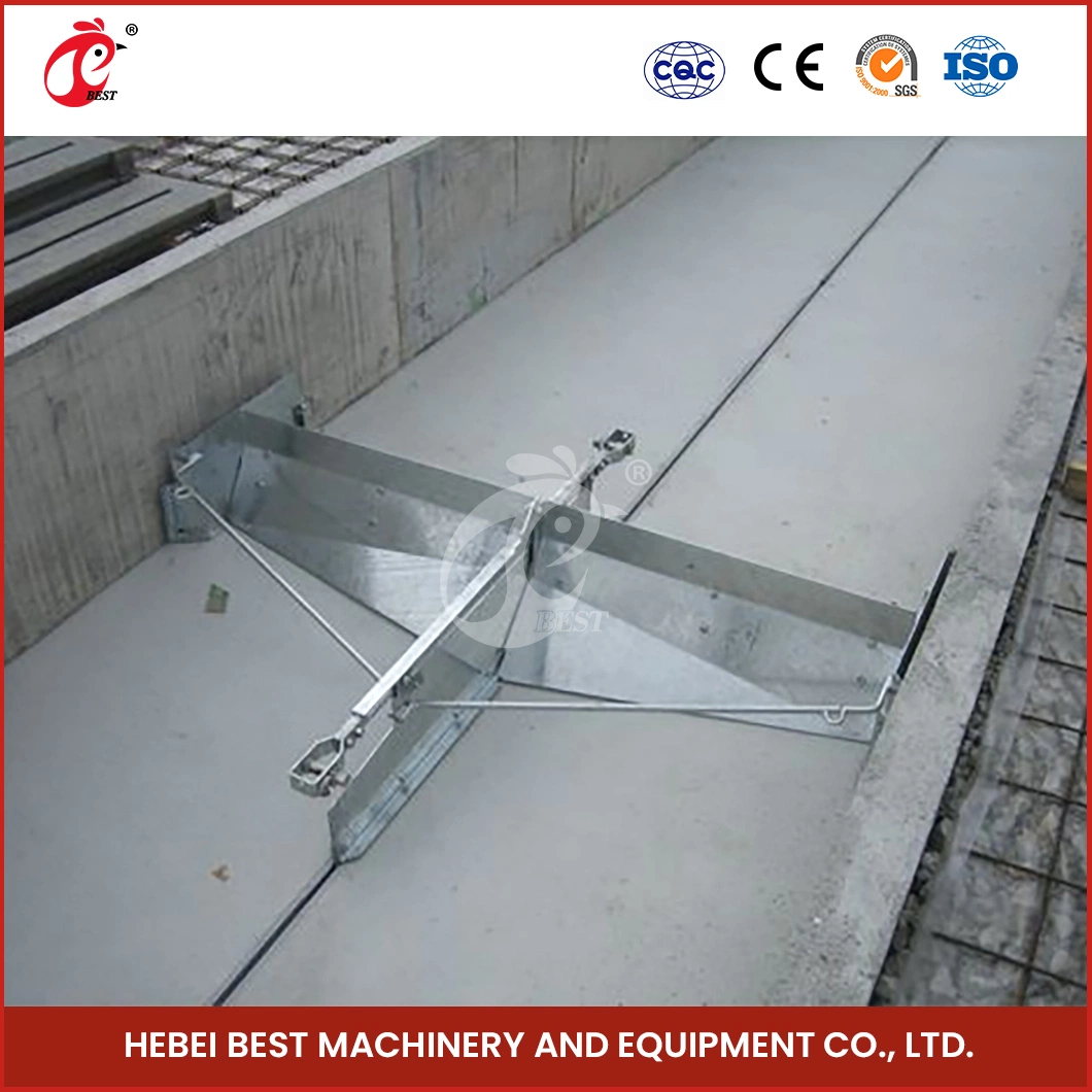 Bestchickencage China Scraper Type Chicken Manure Removal Equipment Manufacturer High-Quality PP Material Automatic Poultry Chicken Manure Removal System