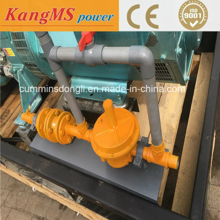 30 Kw Natural Gas Generator Set