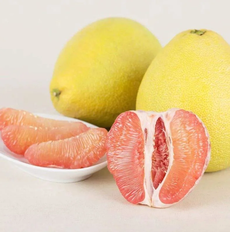 New Crop of Fresh Honey Pomelo Wholesale Cheapest Price High Quality