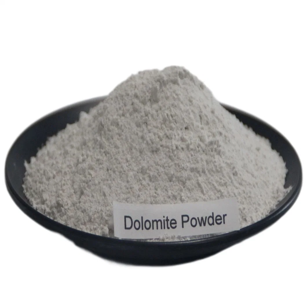 Dolomite Powder HS Code 283660 for Building Material