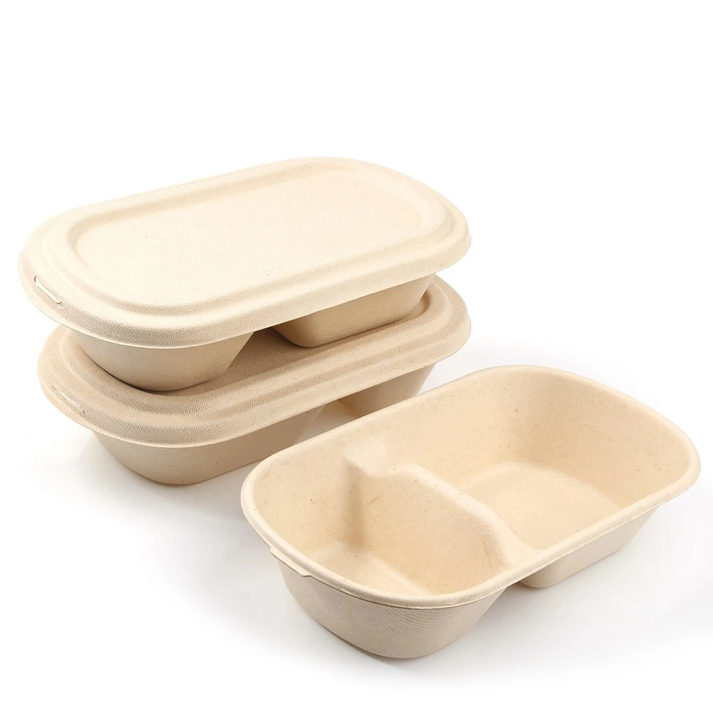 Disposable Biodegradable Sugarcane Pulp Bagasse Food Container Takeaway Packing Box Snack Box