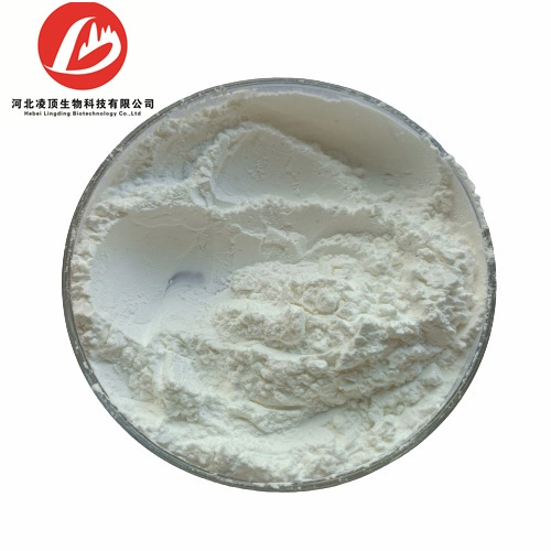 Heißer Verkauf Xanthan Gum Pulver CAS 11138-66-2