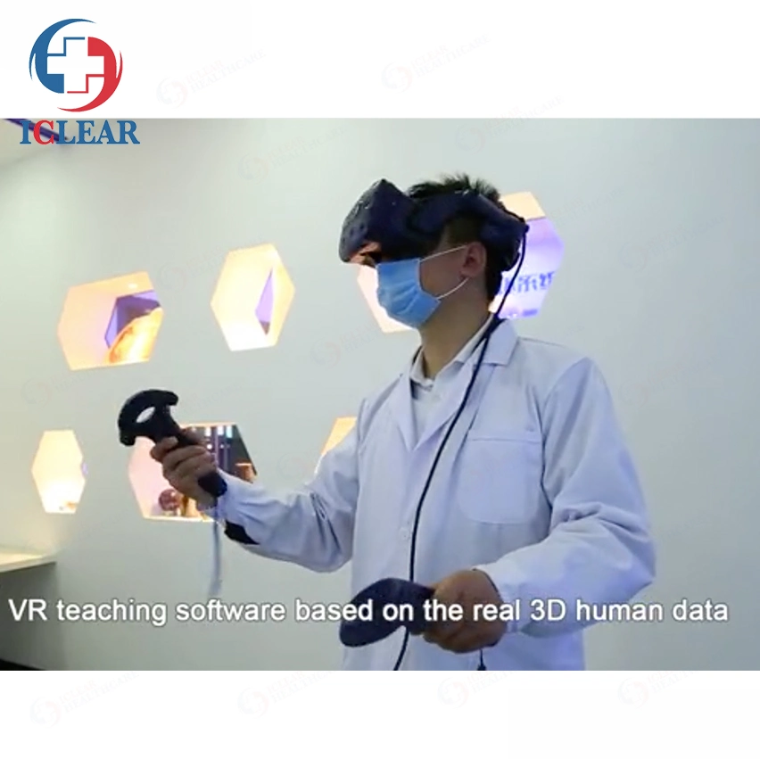 Clinic University Vr 3D Human Body Visible Anatomy Teaching System