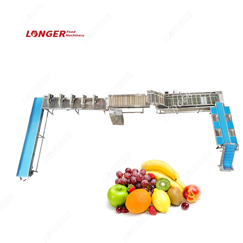 Multi Fruit and Vegetable Washing Line Vegetables Processing Line Fruit and Vegetable Cutting Packing Machine Line