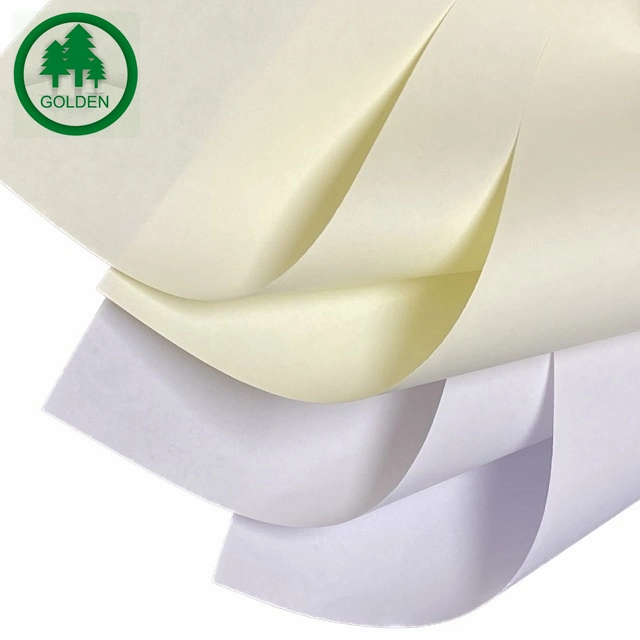 60g 70g 80g Cuaderno de papel de color marfil de crema sin revestimiento Woodfree Páginas internas