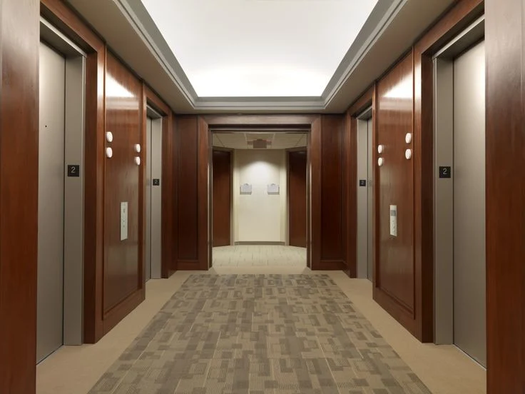 Passenger Elevator and Home Lift by Sicher