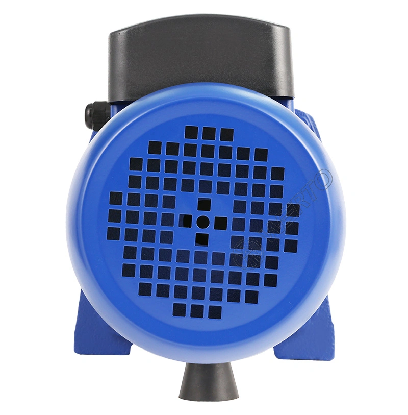 Werto Jsw/3bl 1.5kw 2HP 1.25"&times; 1" Inch Self-Priming Jet Clean Water Pump Domestic Use & Garden Irrigation