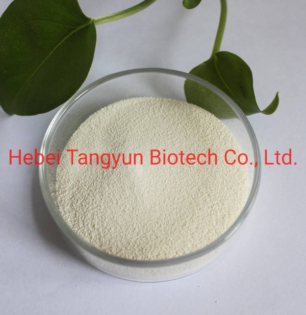 Direct Factory Price Crop Protection Metribuzin 50%Wp