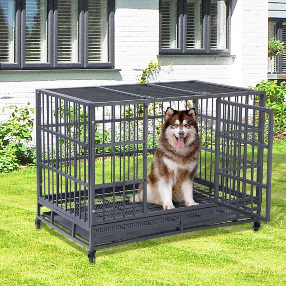 High quality/High cost performance  Iron Dog Cage Supply Sample Use Sparying Plastic Technics