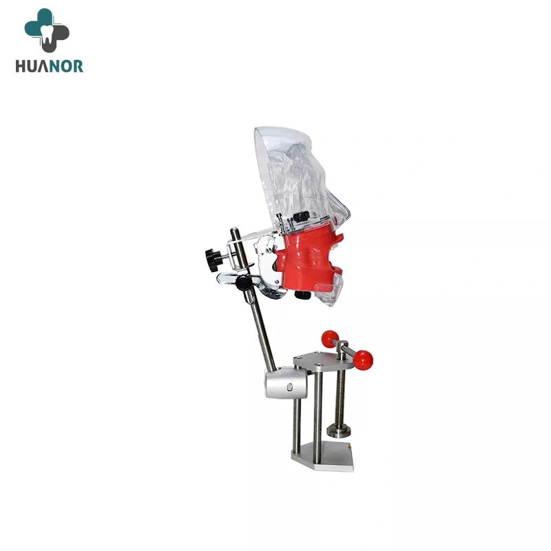 Dental Simulator Nissin Manikin Phantom Head Dental Phantom Head Model with New Style Bench Mount for Dentist Education