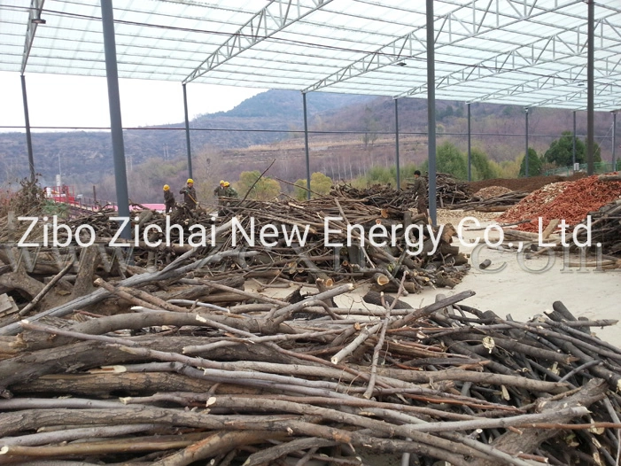 Wood Sugarcane Residue Bagasse Gasifier Generator for Domestic Waste Power Generation