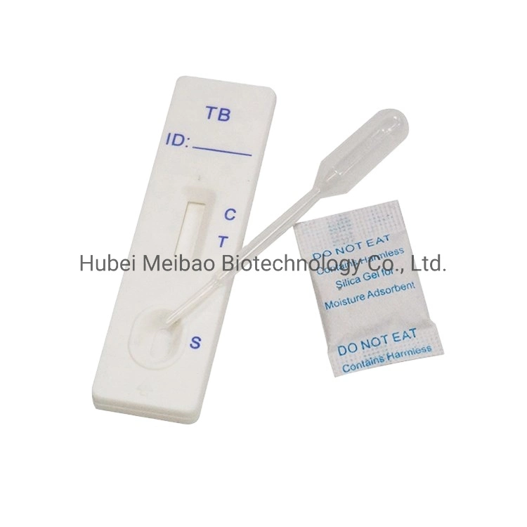 Lateral Flow Rapid Test Kit leere Kassette für TB-Test Streifen