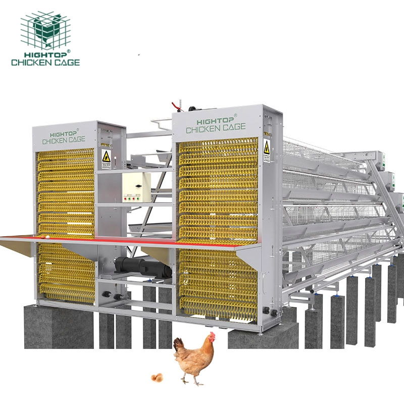 Kommerzielles Hühnerschicht-Käfig Geflügel Farm Equipment TYP A Geflügel Legehennen Ei Batteriekäfige Für Nigeria Farm