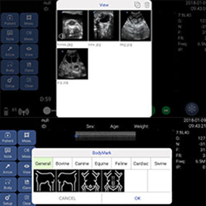 Handgelenk Mecanmed Standard-Paket China Diagnose Ausrüstung Schafe WiFi Ultraschall Probe mit günstigem Preis