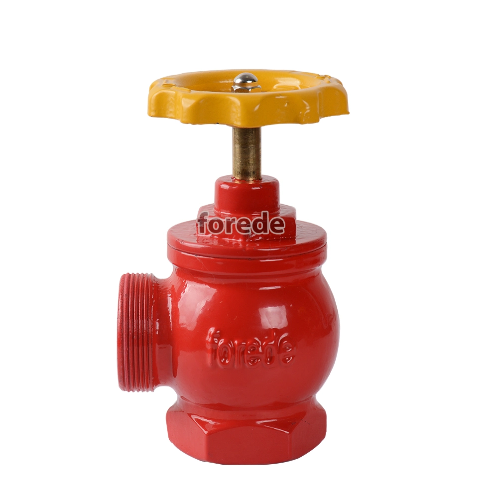 Fforede Hot Sale Ductile Iron Indoor Fire Hydrant Cost