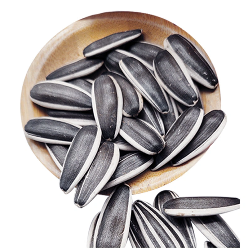 Wholesale/Supplier Factory Black and White Raw Sunflower Seeds