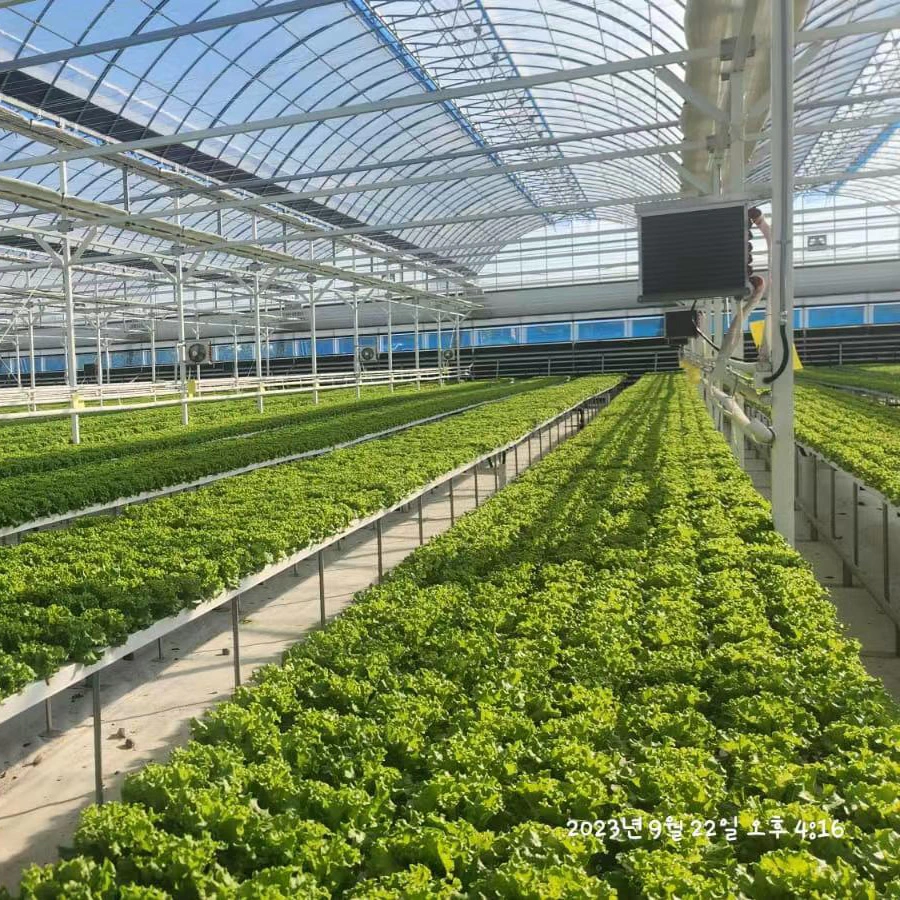 100X50mm Nft Channel Vertical Farming Hydroponic System for Greenhouse