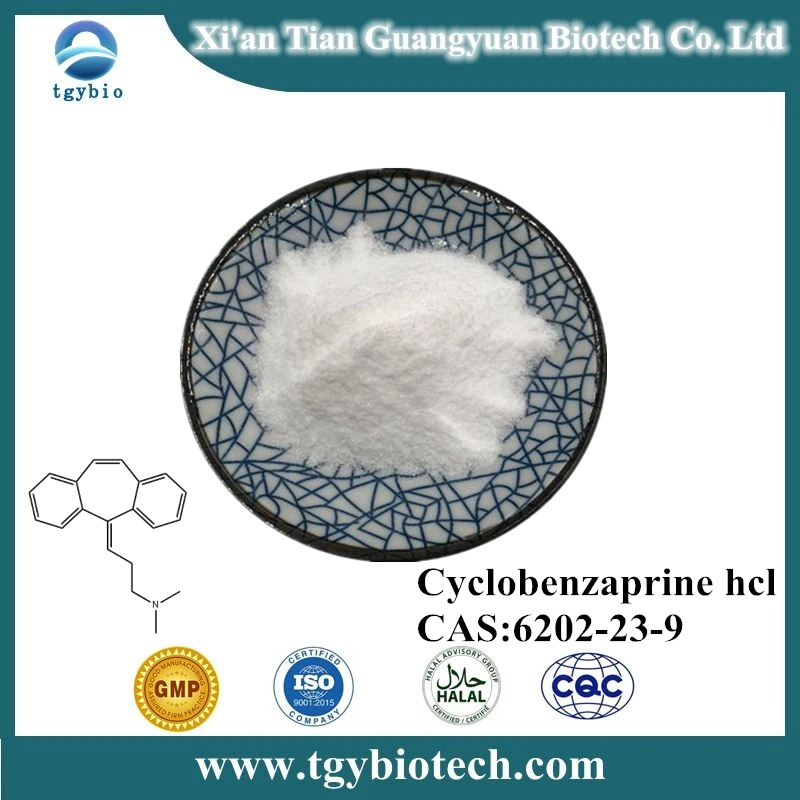 API Cyclobenzaprine HCl 99% CAS 6202-23-9 with Safe Delivery