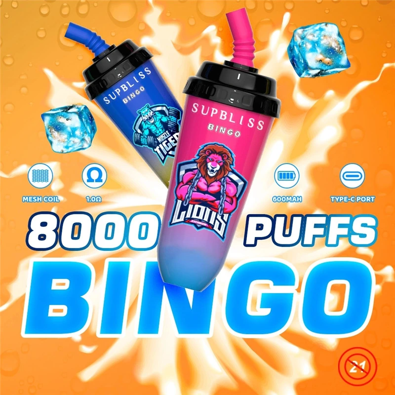 Bingo Supbliss Randm de gros 8000 Vape stylo jetable