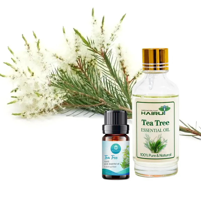 Safe Essential Oil Tea Tree for Soap Face Cream Moisturizer Deodorant Disinfectant Air Fresher Aronatherapy Tea Tree Oil