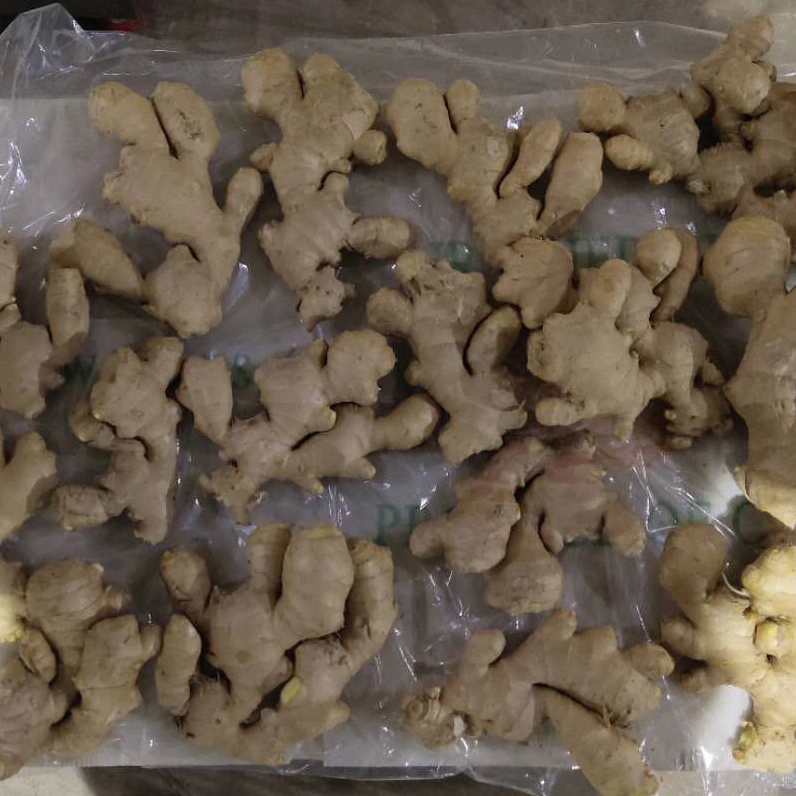 European Good Quality Air Dry Ginger