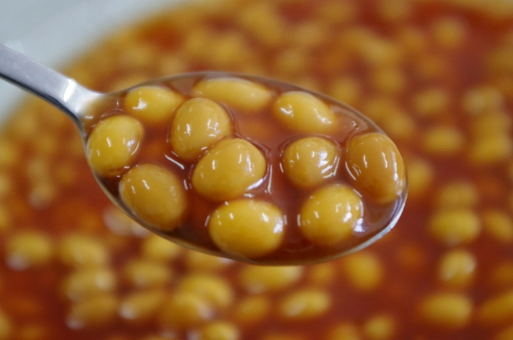 Canned White Kidney Bean/Baked Bean in Tomato Sauce